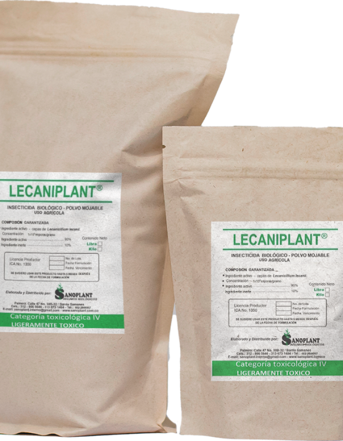 LECANIPLANT