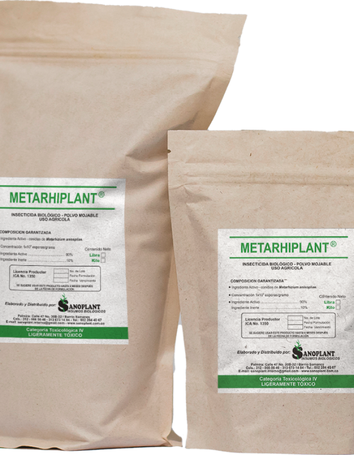METARHIPLANT