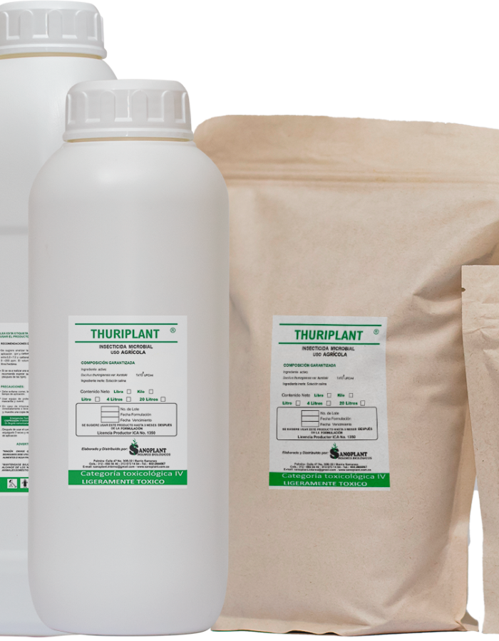 THURIPLANT